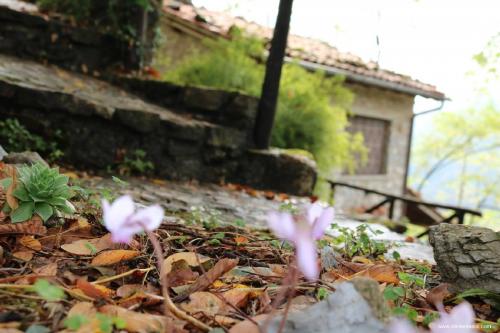 Le Capanne00082